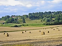 Maisons rurales à vendre en France